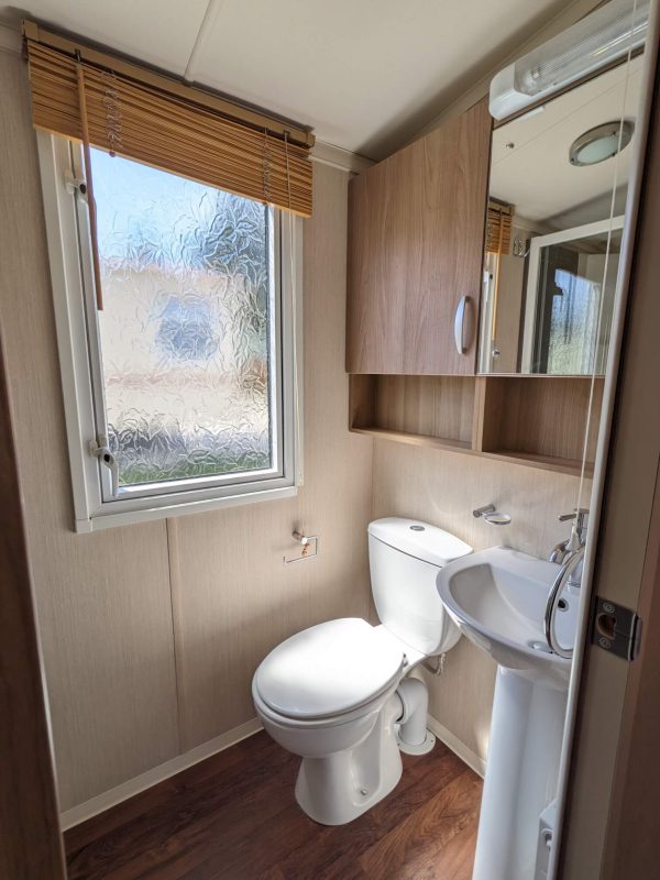 Swift Bordeaux (Sold) - Image 7
